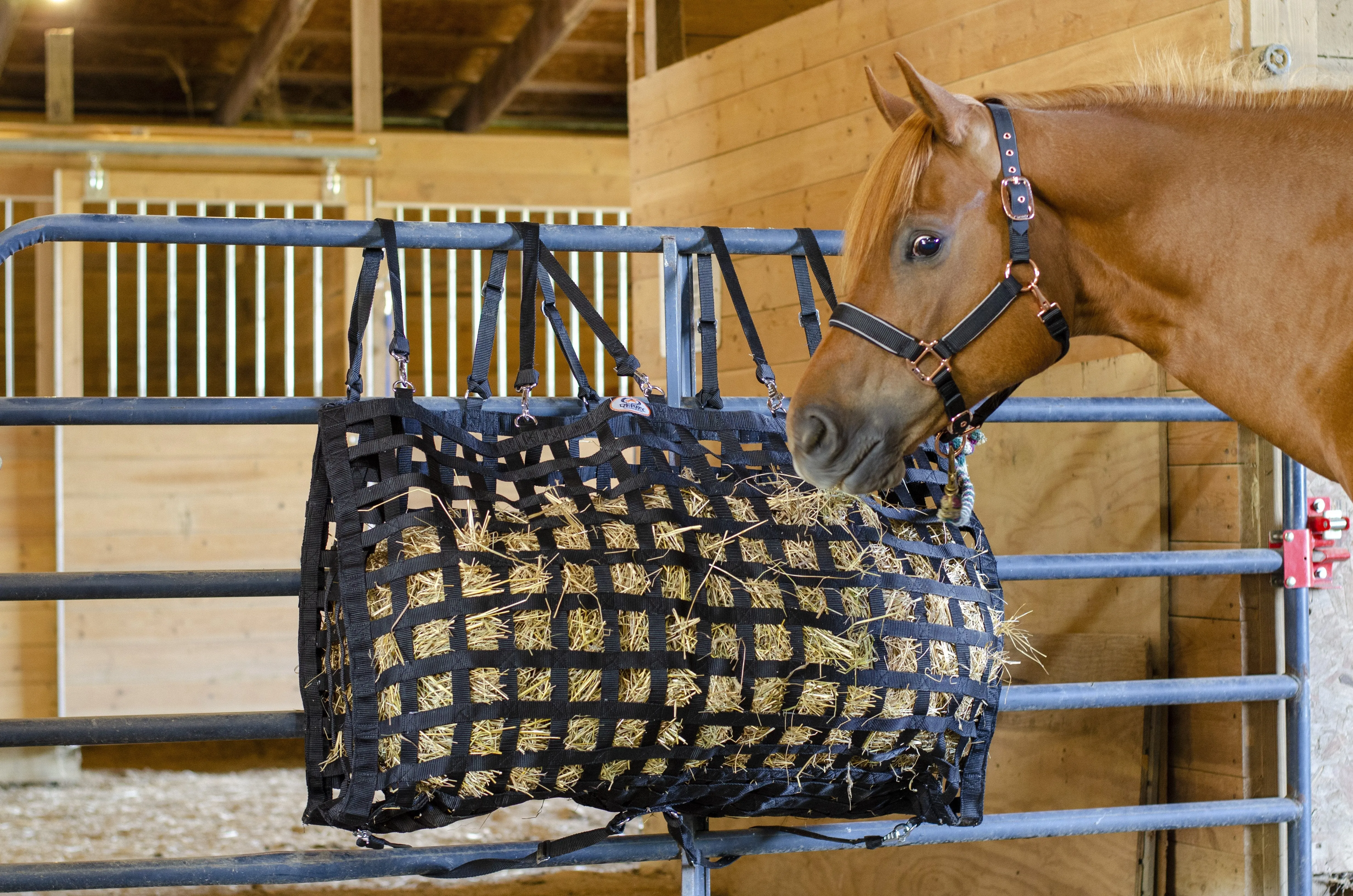 Derby Originals XL Super Tough Slow Feed Hay Bag with  2” Square Openings and 1 Year Warranty and Patented Four Sided Design