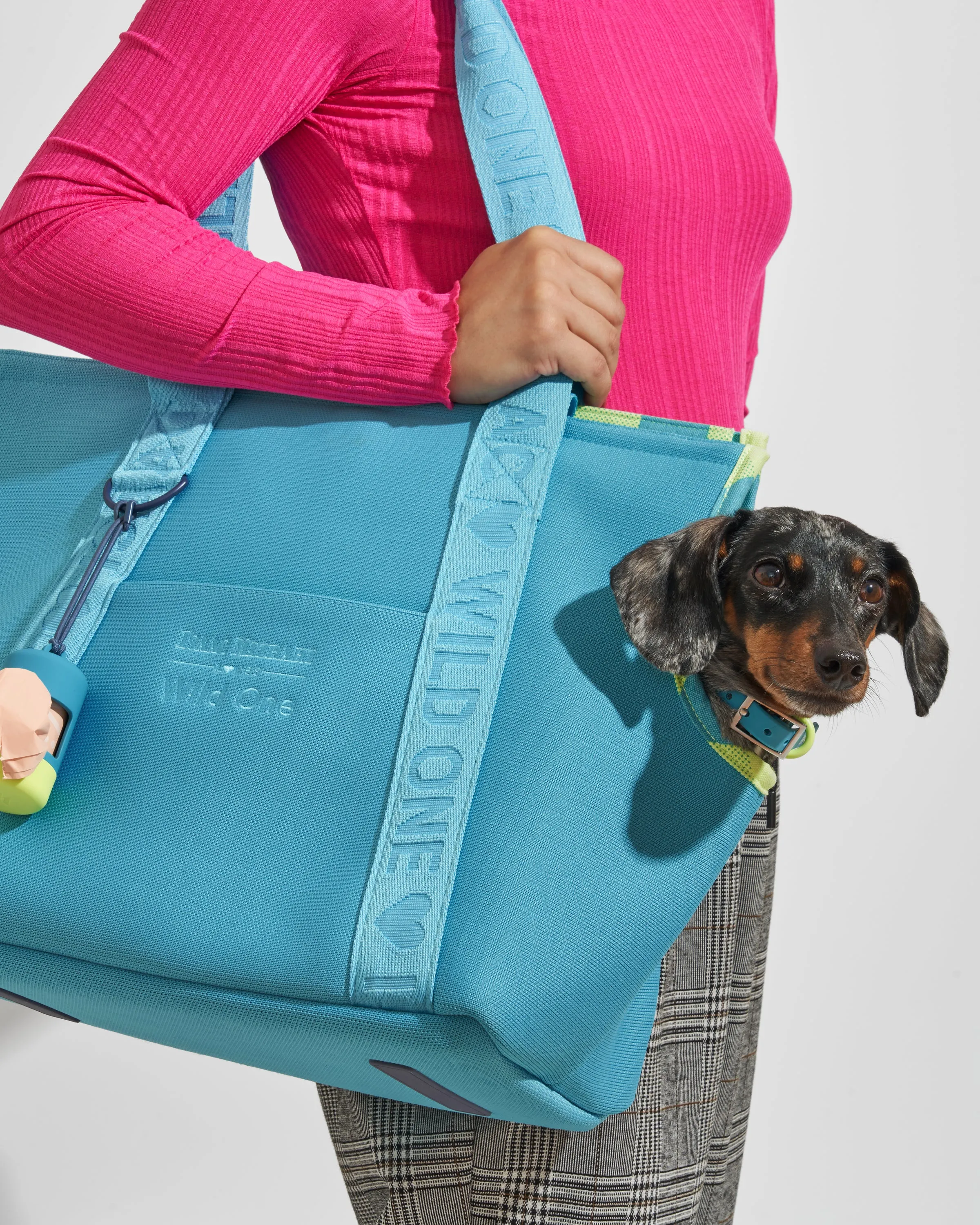 Everyday Carrier, Limited Edition, IM Hudson Blue