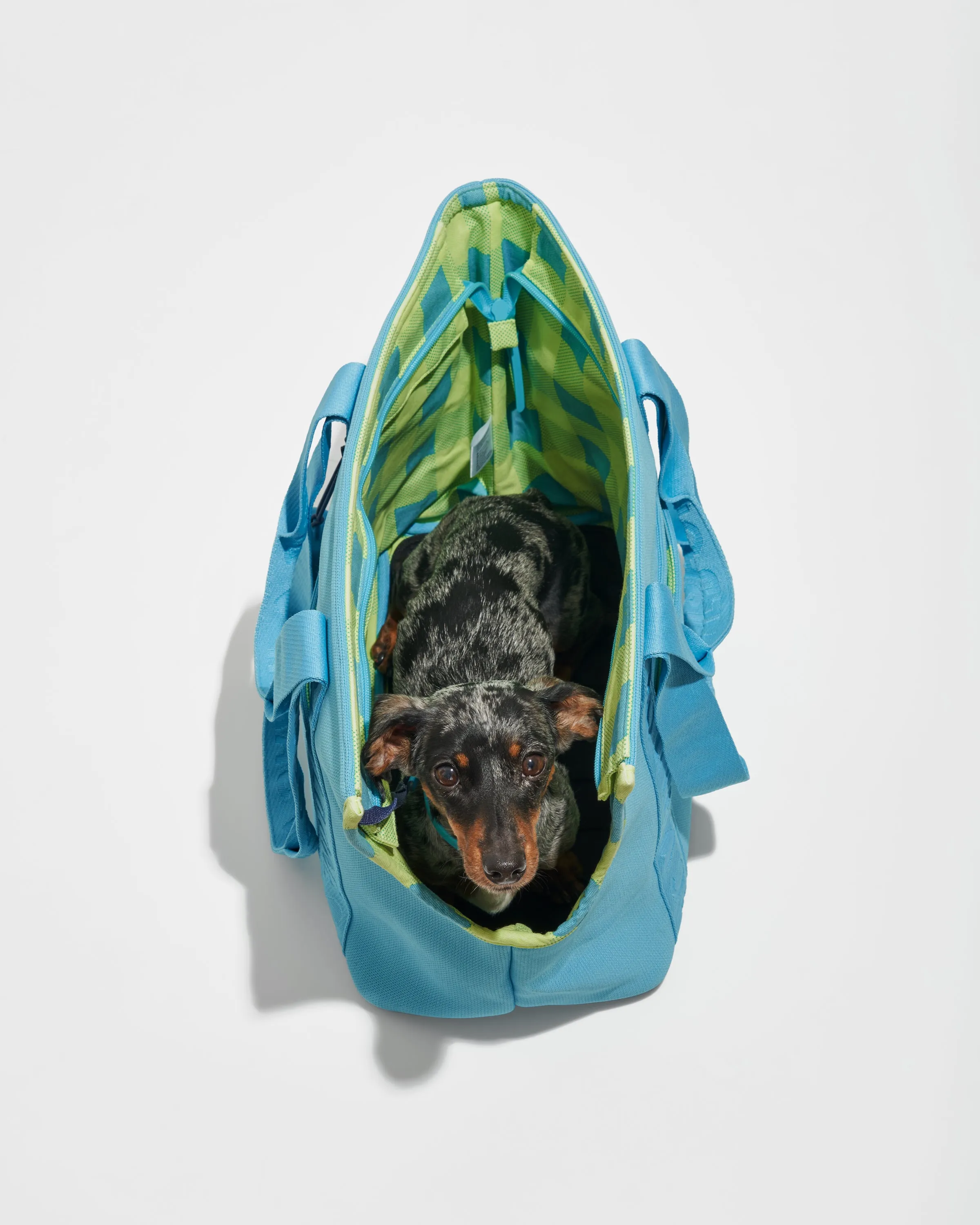Everyday Carrier, Limited Edition, IM Hudson Blue